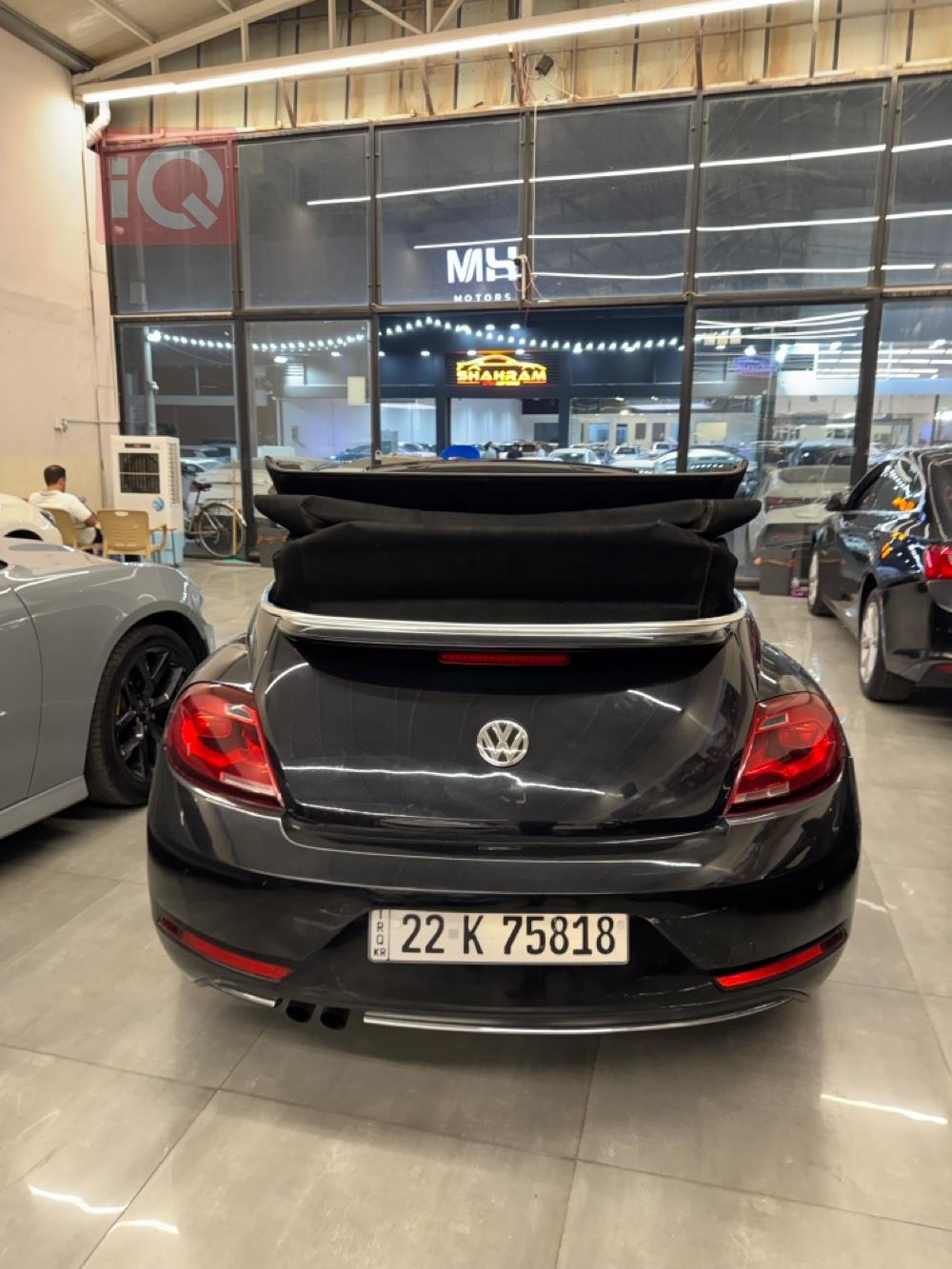 Volkswagen Beetle